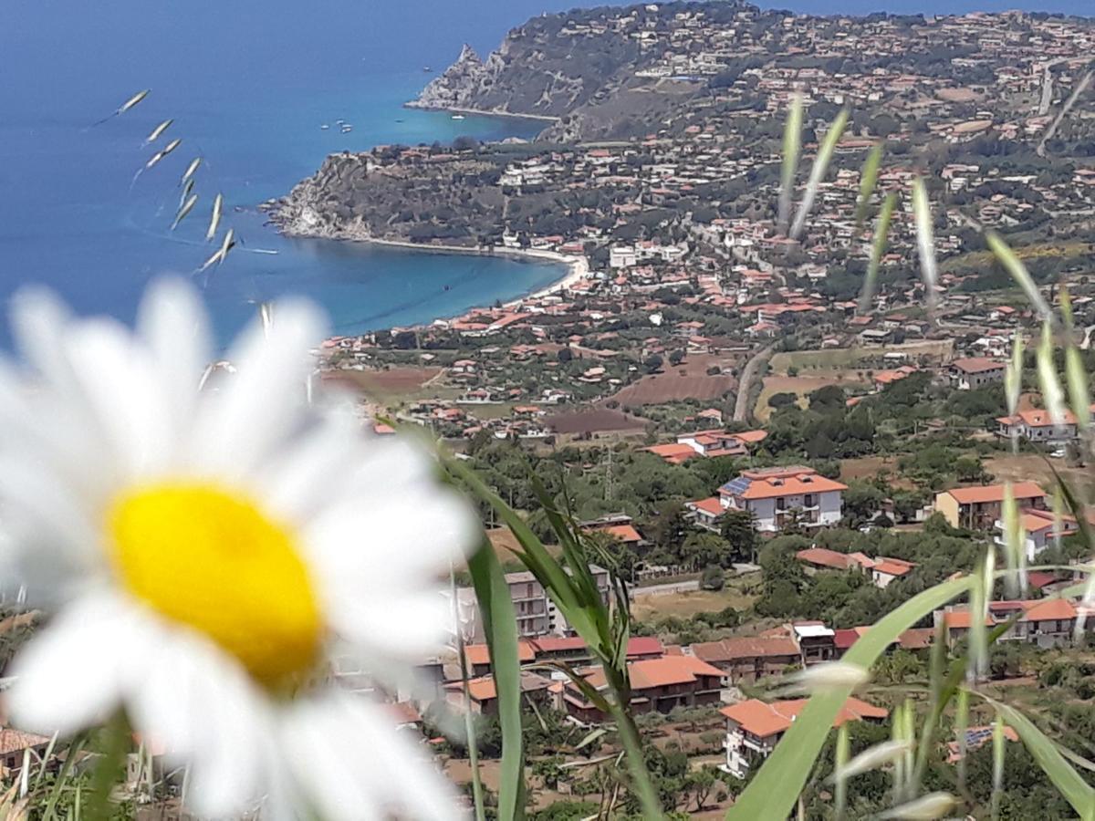 Villettemire Capo Vaticano Exterior photo